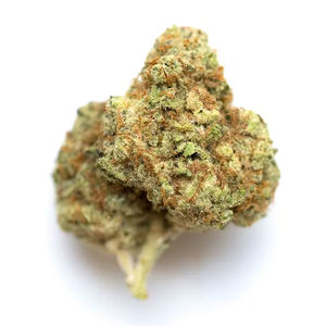 Gelatti by stiiizy flower at ShowGrow
