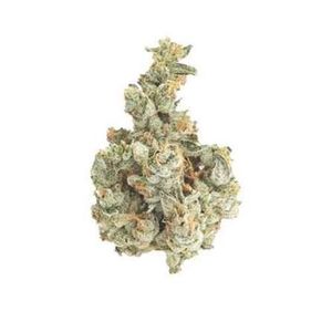 Garlic Cookies by nature's chemistry at ShowGrow