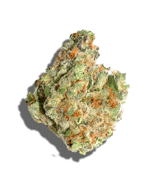 Grape Bubblegum by neon cactus flower at ShowGrow