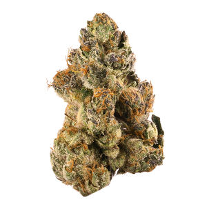 Smooth Operator by good green flower at ShowGrow