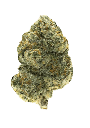 Honey Runtz by state flower flower at ShowGrow