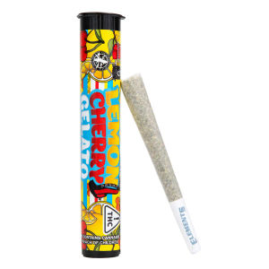 Lemon Cherry Gelato Hash Rosin by backpack boyz preroll at ShowGrow