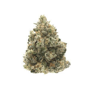 Donny Burger by good green flower at ShowGrow