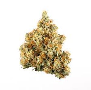 Triple G by daze flower at ShowGrow