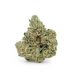GG #4 by stiiizy flower at ShowGrow