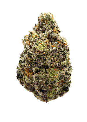 White Zerbert by stiiizy flower at ShowGrow