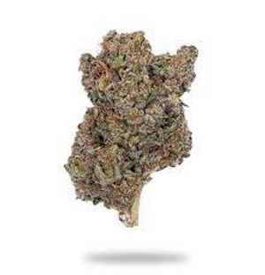 Sunshine Daydream by green life productions  flower at ShowGrow
