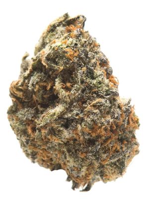 Ice Caps by good green flower at ShowGrow