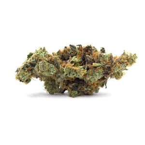 GMO Project by polaris flower at ShowGrow