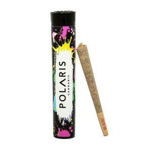 Diesel Cheese by polaris preroll at ShowGrow
