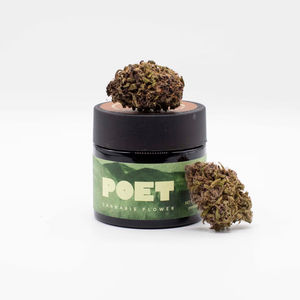 Pineapple Afghani by poet at ShowGrow Long Beach Dispensary | Cannabis, Vapes, Edibles & Pickup