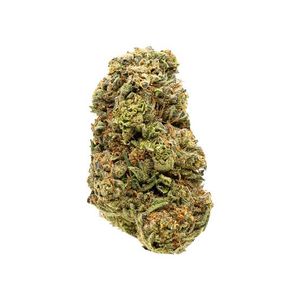 Tussin by clout king flower at ShowGrow