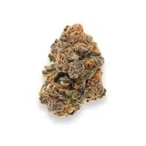 Sweet Tangie by stiiizy flower at ShowGrow