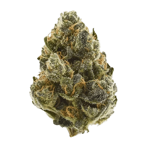OMG by good green flower at ShowGrow