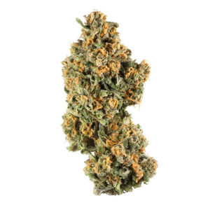 Pink Champagne by stiiizy flower at ShowGrow