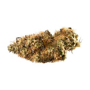 Outta My Head by rythm at ShowGrow