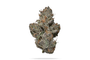 LCZ by clout king flower at ShowGrow