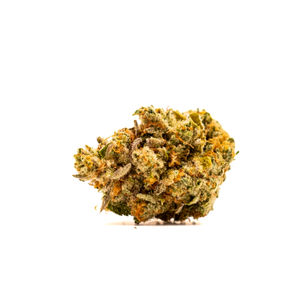 Monkey Paste by mama j's flower at ShowGrow
