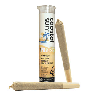 Cactus Cooler 2pks by coastal sun preroll at ShowGrow Long Beach Dispensary | Cannabis, Vapes, Edibles & Pickup