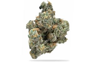 Black Bubblegum Horchata by nature's chemistry flower at ShowGrow