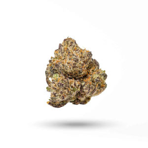 Crescendo by thc design flower at ShowGrow