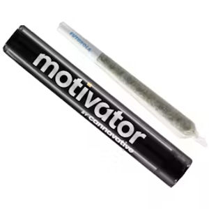 Jack & Cake Motivator by cannavative preroll at ShowGrow