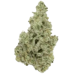 Cap Junky by alternative medicine association flower at ShowGrow