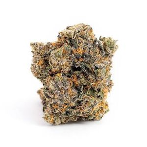 Grape Pie by neon cactus flower at ShowGrow