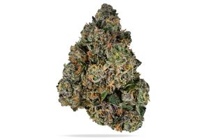 Sherbanger by terpz flower at ShowGrow