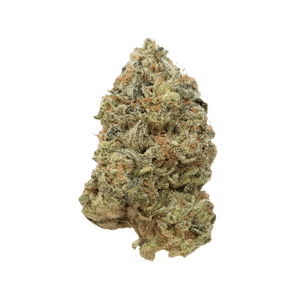 G13 by daze flower at ShowGrow