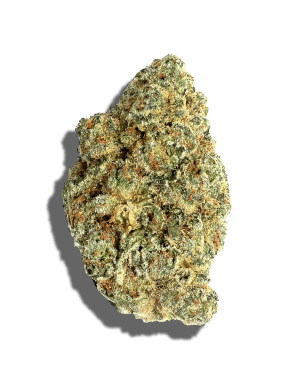 Figueroa by daze flower at ShowGrow