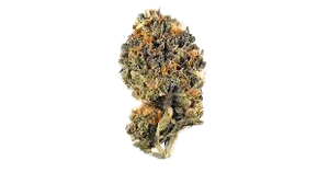 LV Kush Cake by floravega flower at ShowGrow