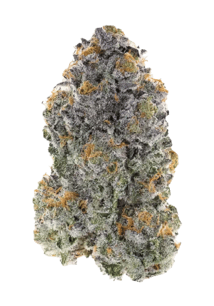Tiger Toe by good green flower at ShowGrow