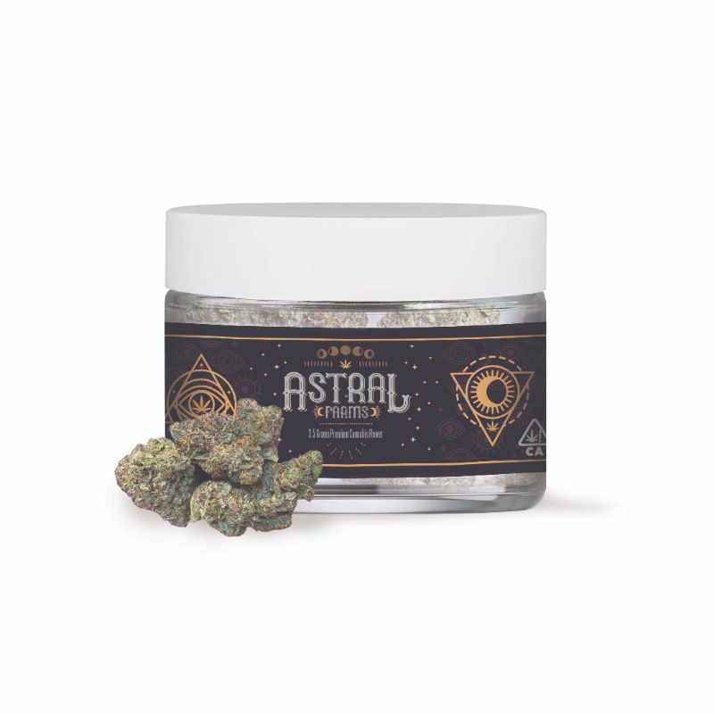 Molotov Cocktail by astral farms flower at Haven