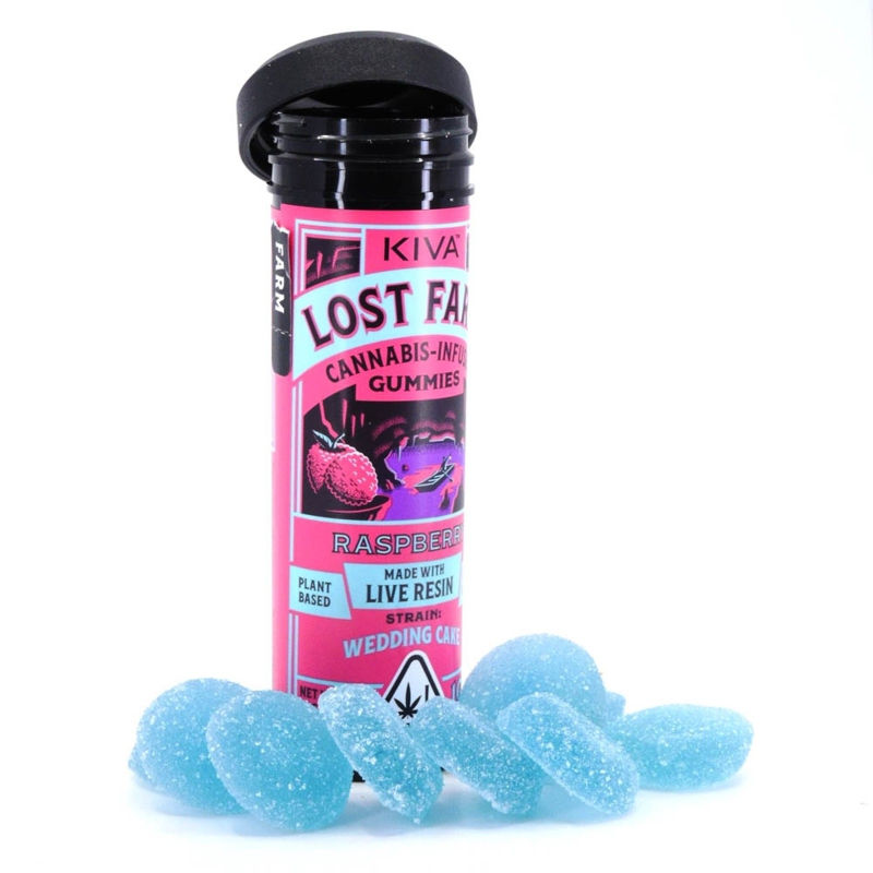 Raspberry by lost farm edible at Haven