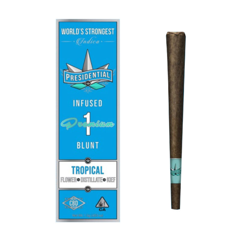 Tropical by presidential preroll at Haven