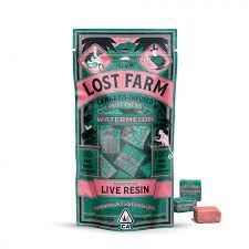 Watermelon by lost farm edible at Haven