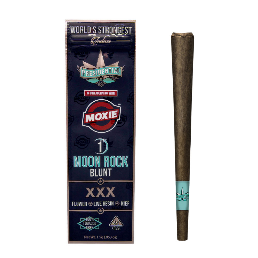 XXX Moxie by presidential preroll at Haven
