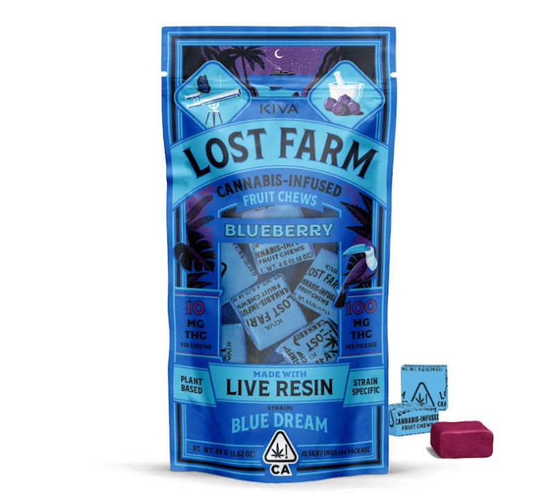 Blueberry by lost farm edible at Haven