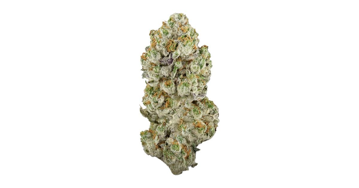 Amnesia Lemon by high lights flower at ShowGrow
