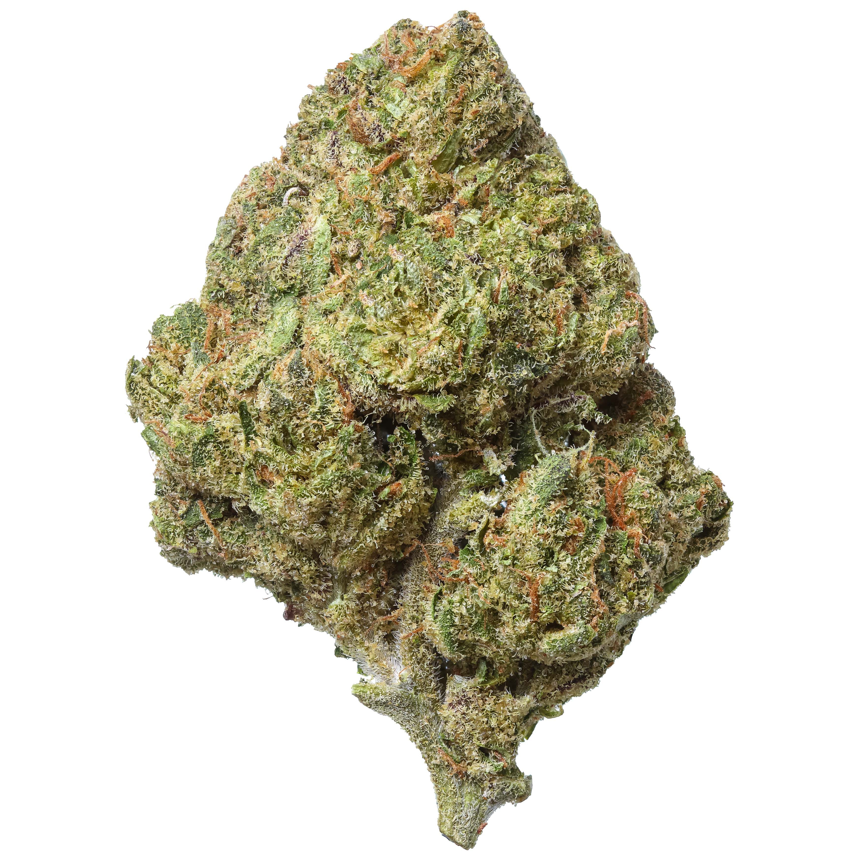 Coconut Milk by nature's chemistry flower at ShowGrow
