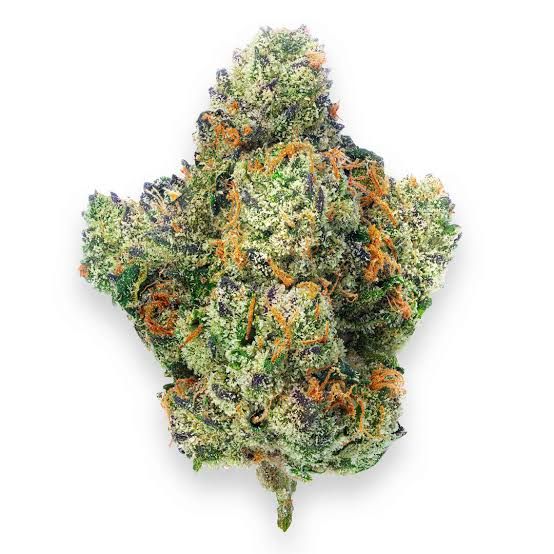 Motorbreath by alternative medicine association flower at ShowGrow