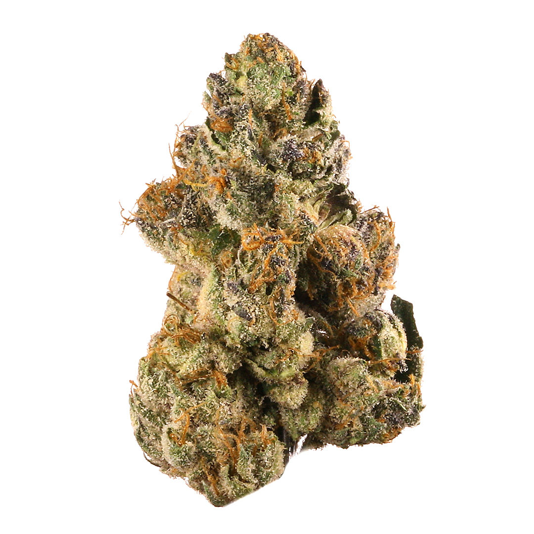 Smooth Operator by good green flower at ShowGrow