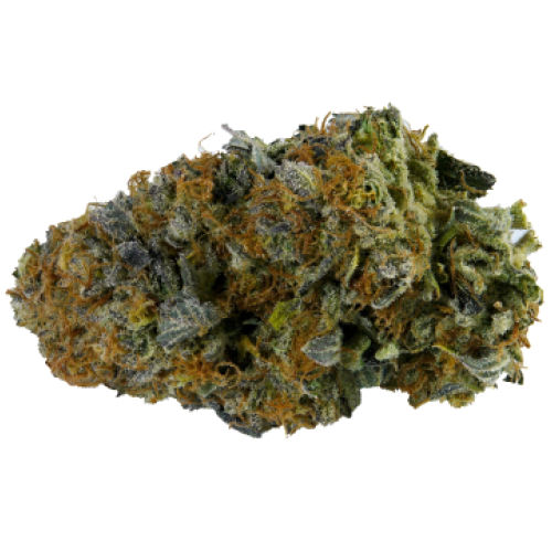 Mystic Mint by rythm flower at ShowGrow