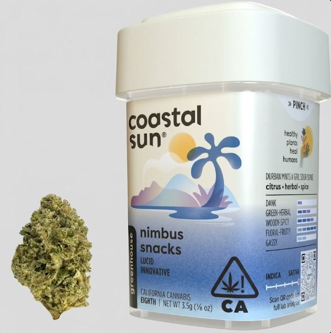 Banjo by coastal sun flower at ShowGrow Long Beach Dispensary | Cannabis, Vapes, Edibles & Pickup