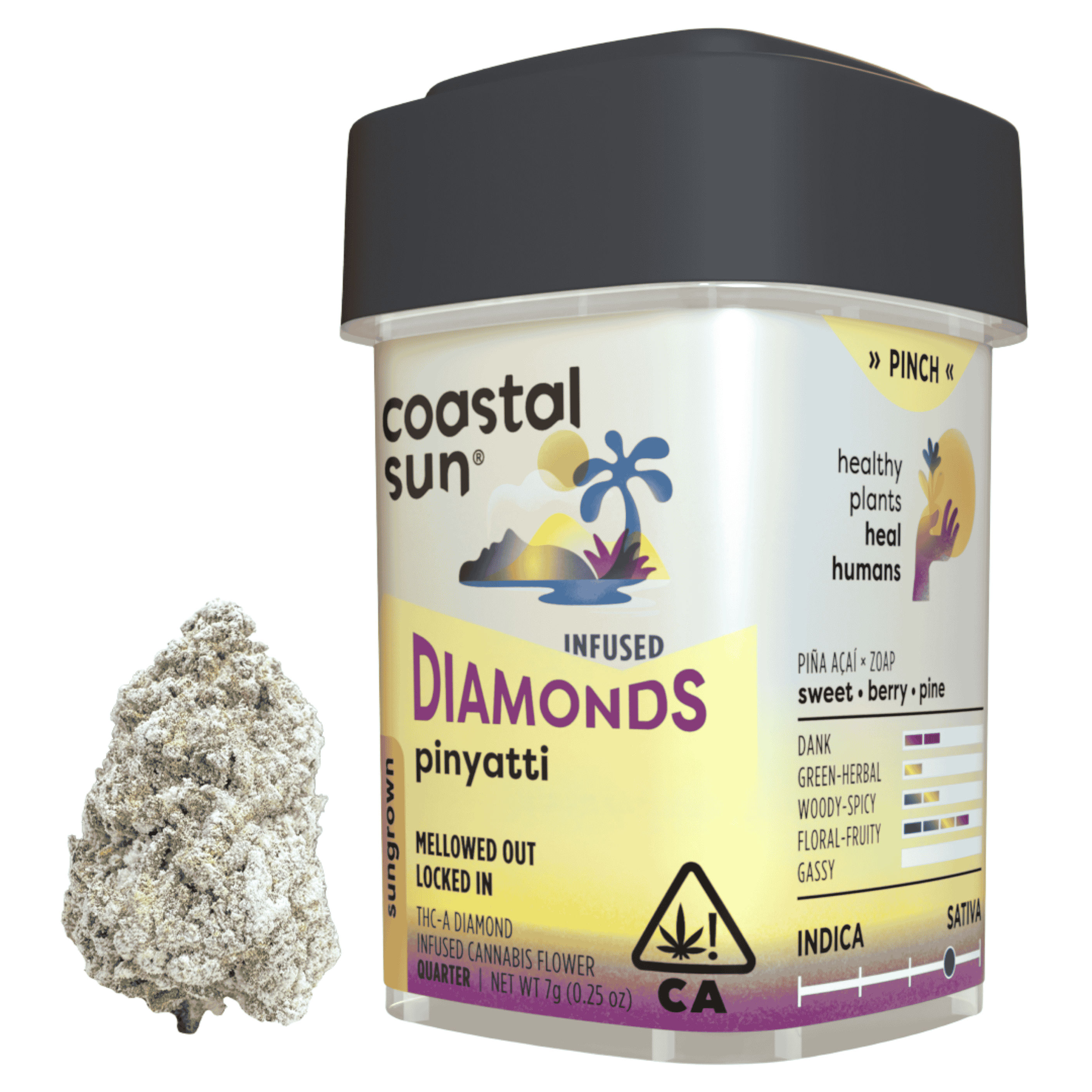 Pinyatti Infused by coastal sun flower at ShowGrow Long Beach Dispensary | Cannabis, Vapes, Edibles & Pickup