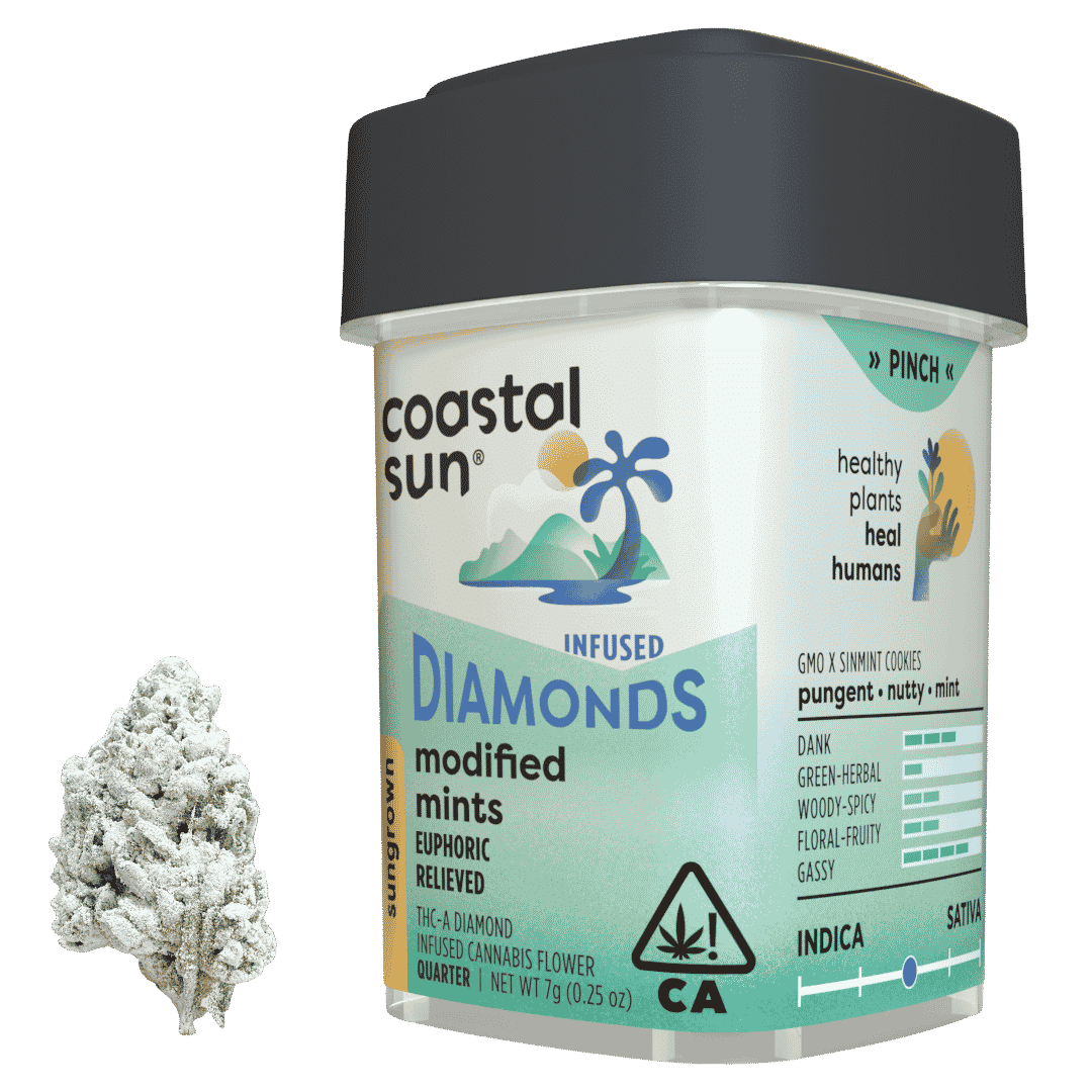 Modified Mints Infused by coastal sun flower at ShowGrow Long Beach Dispensary | Cannabis, Vapes, Edibles & Pickup