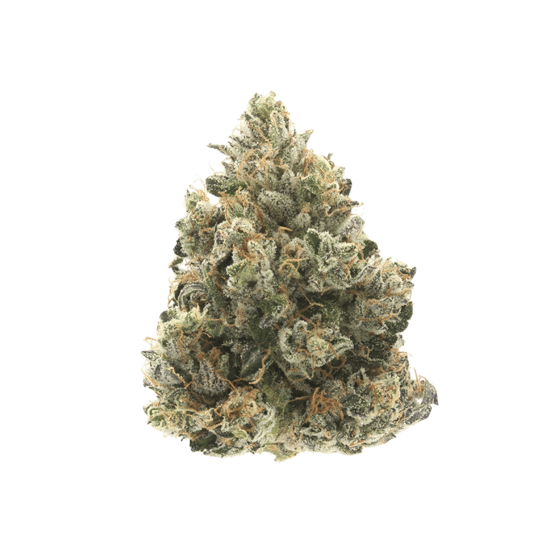 Donny Burger by good green flower at ShowGrow