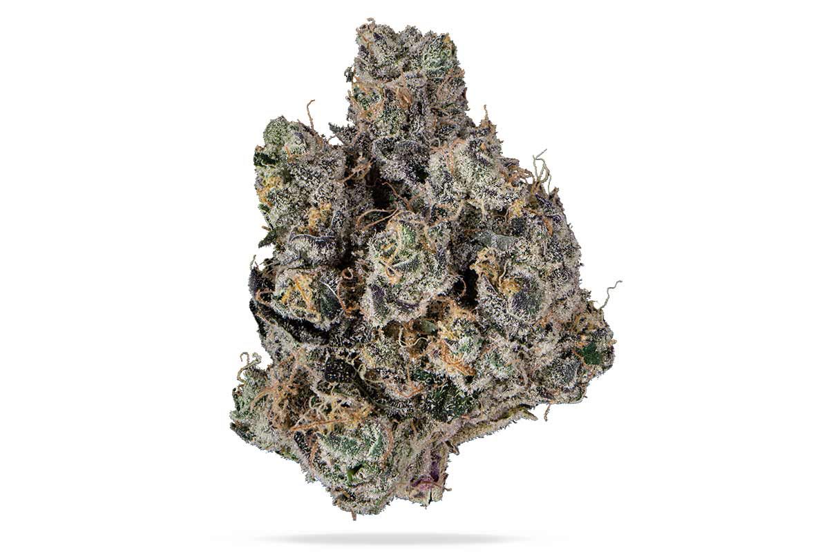 Don Mega by terpz flower at ShowGrow