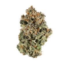 Sunset Sherbert by stiiizy flower at ShowGrow